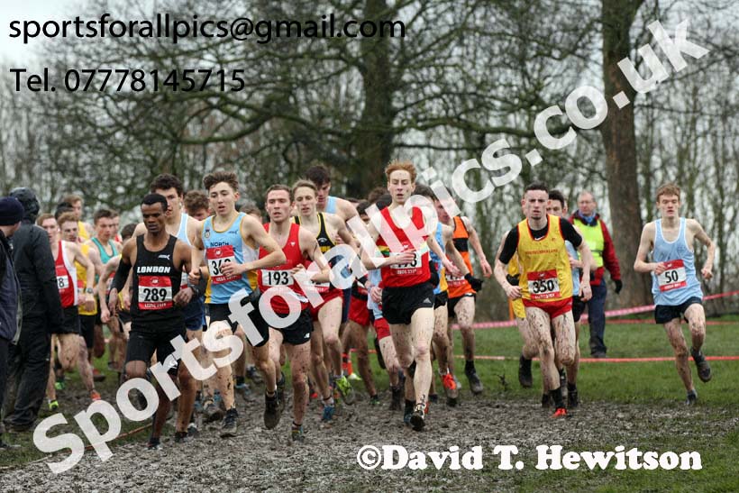 Senior boys 2019 New Balance English Schools Cross Country Champs, Temple Newsam, Leeds. Photo:  David T. Hewitson/Sports for All Pics